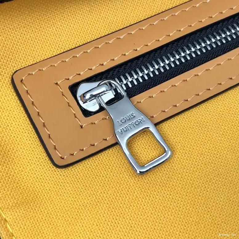 Brother Sam Yupoo Bags 2010B570038 LV 0513